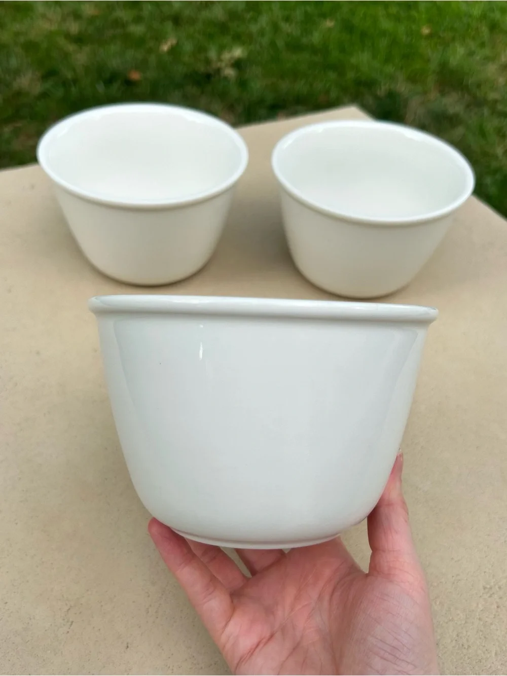 Crate & Barrel Porcelain Soup Bowls Set of 3